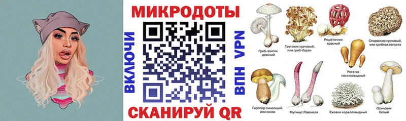 где можно купить   Буинск  Псилоцибиновые грибы Cubensis 